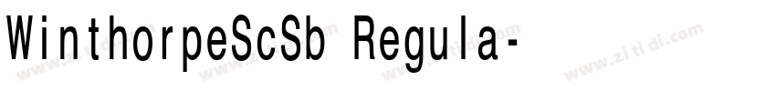 WinthorpeScSb Regula字体转换 WinthorpeScSb Regula字体转换